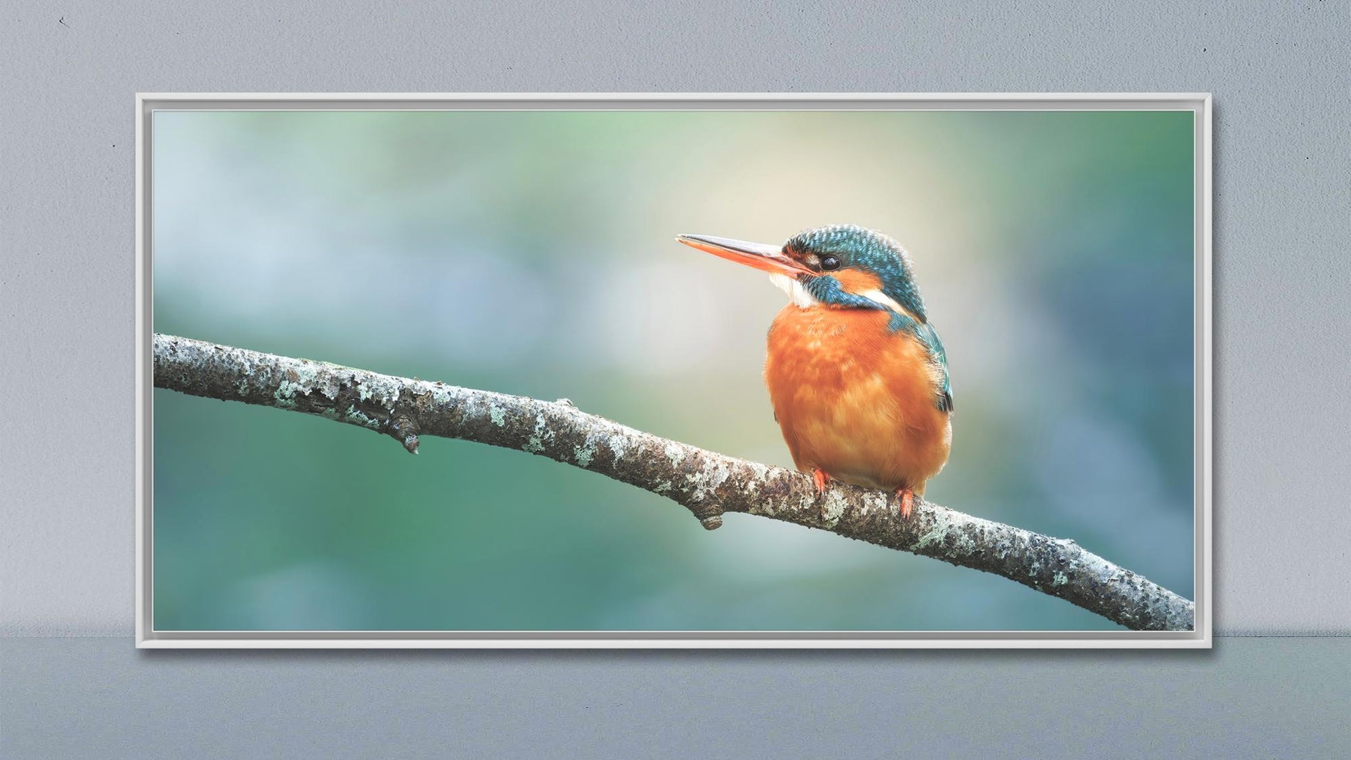 Une photographie encadrée de "Le repos du martin-pêcheur" (Belgique) par Fine Art Shots est affichée. Le martin-pêcheur, mettant en valeur la beauté de la nature avec ses plumes bleues et orange vibrantes, est positionné sur un fond flou aux couleurs pastel.