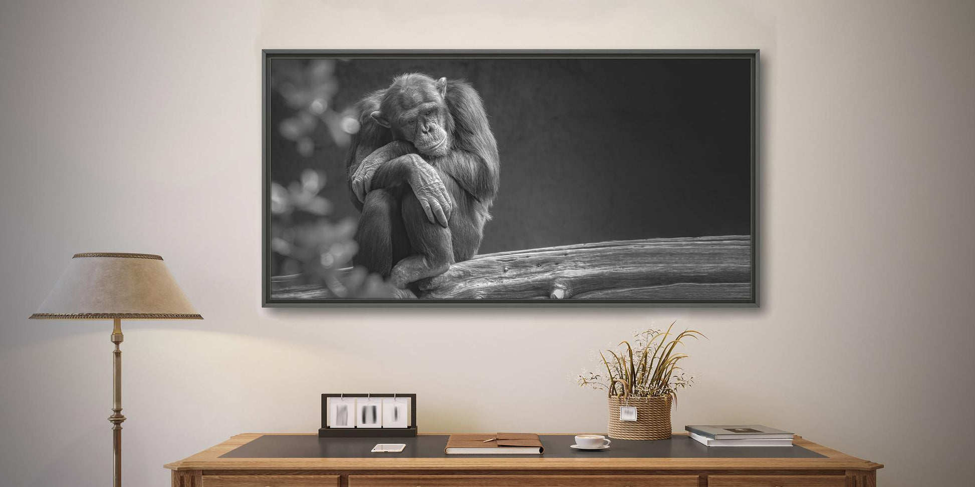 Un intérieur moderne présente une photographie murale en noir et blanc d'un chimpanzé assis pensivement, intitulée "Mélancolie" (Belgique) par Fine Art Shots. Sous la photo se trouve un bureau en bois avec des livres, une plante en pot et des fournitures de bureau. Un lampadaire se dresse à gauche. L'espace est bien rangé et aménagé avec soin.